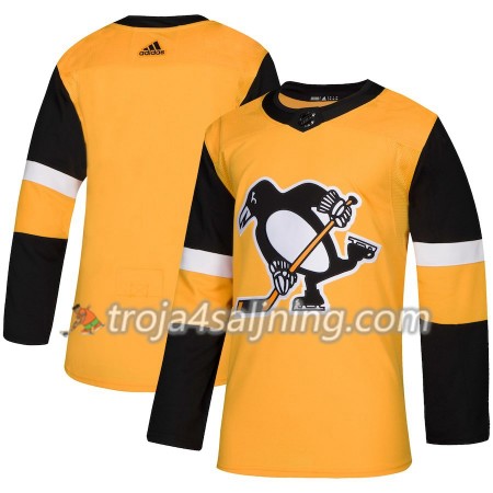 Pittsburgh Penguins tröja Blank Alternate 2018-2019 Adidas Authentic - NHL Tröjor Herr Pittsburgh Penguins tröja Blank Alternate 2018-2019 Adidas Authentic - NHL Tröjor Herr